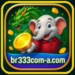 BR333.com